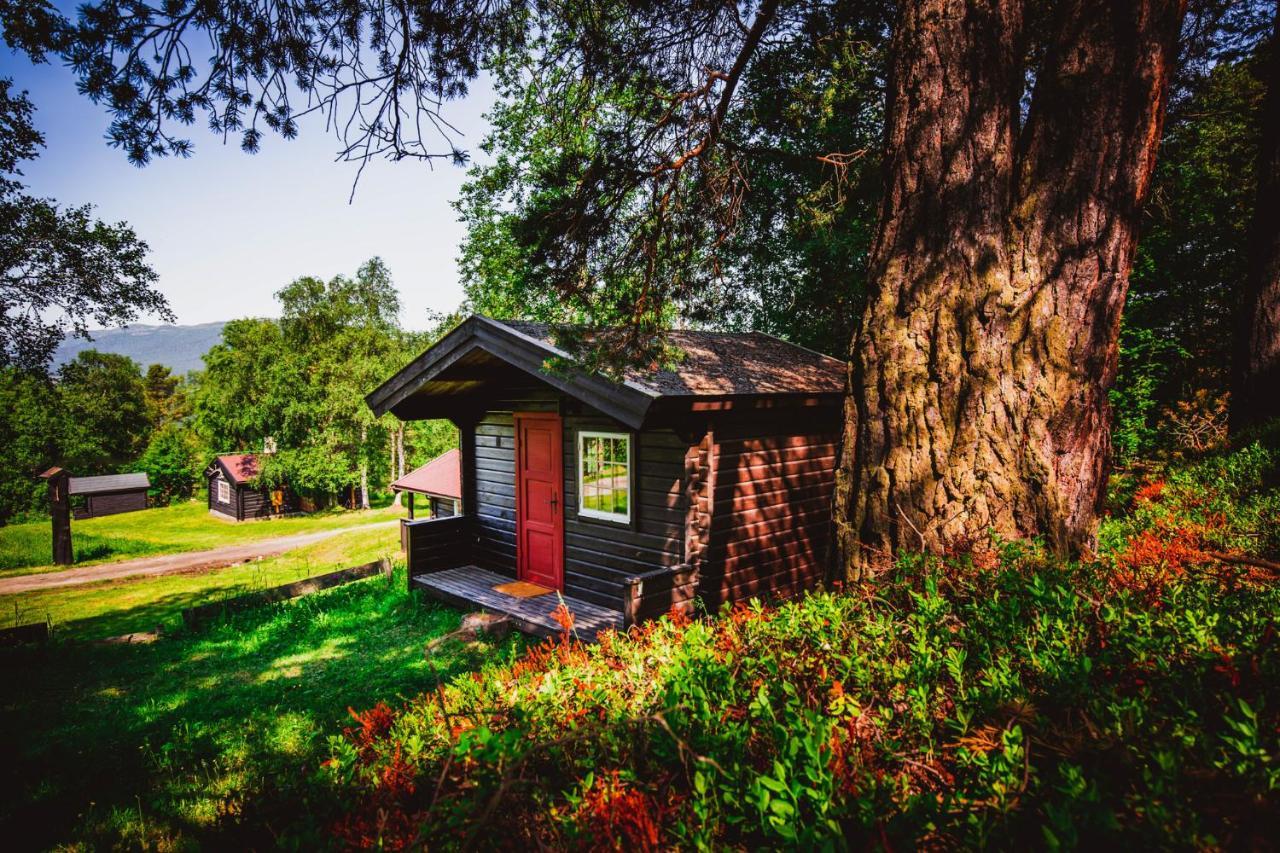 Ljoshaugen Camping Dombås Zewnętrze zdjęcie