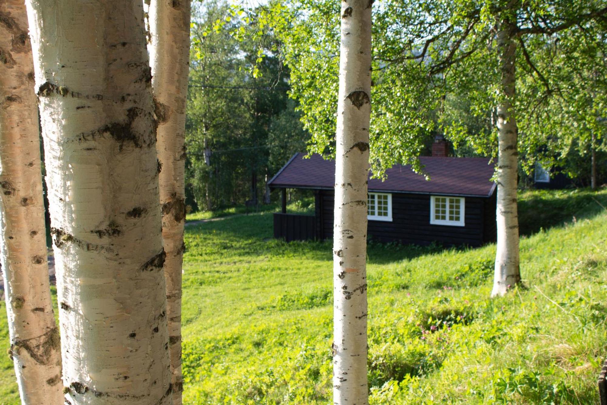 Ljoshaugen Camping Dombås Zewnętrze zdjęcie